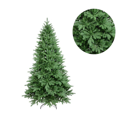 Fir Christmas Tree_