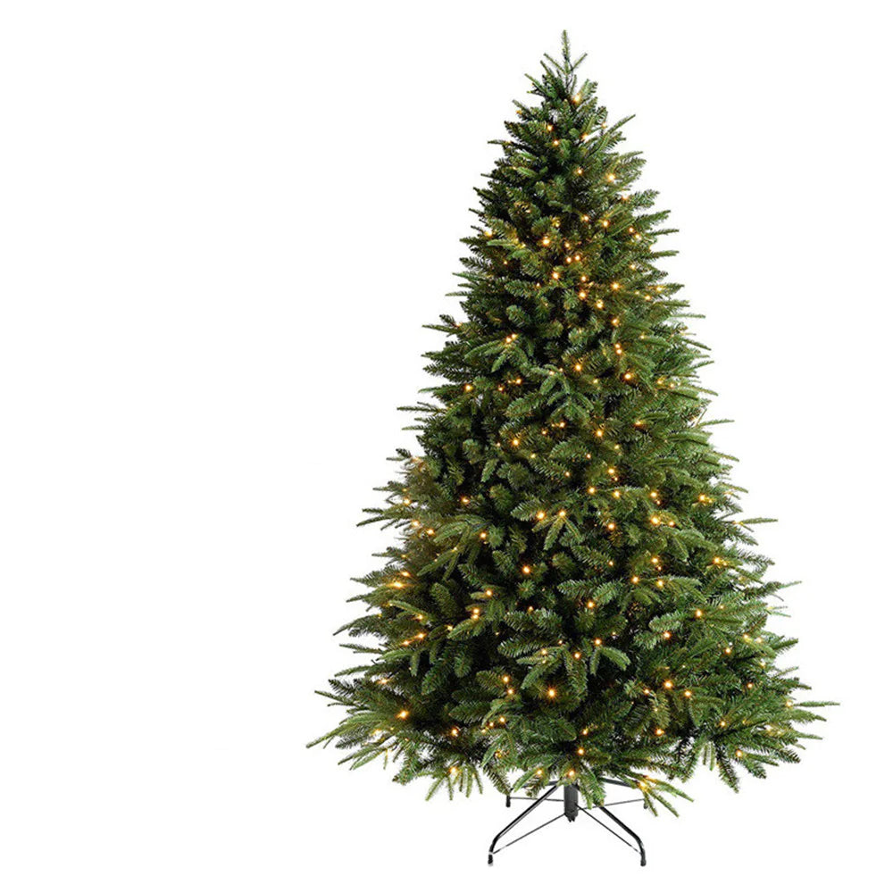 Fir Christmas Tree_