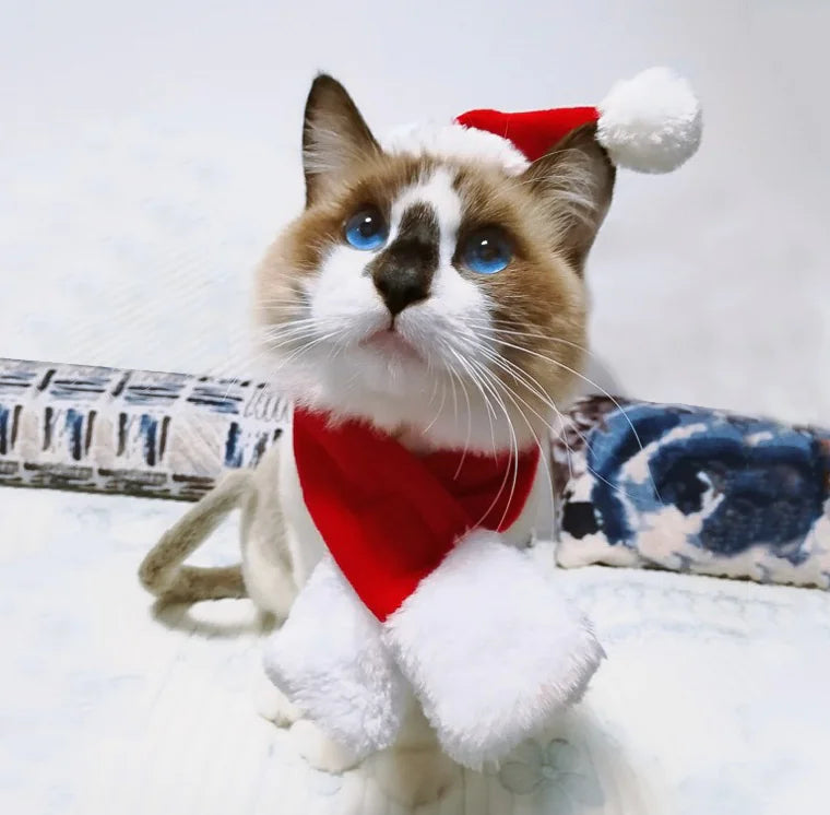 Christmas Outfit, Hat &amp; Scarf Set for Pets
