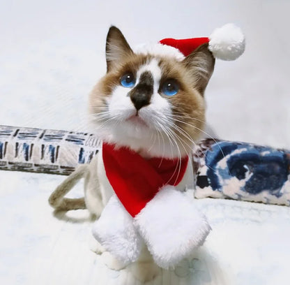 Christmas Outfit, Hat &amp; Scarf Set for Pets