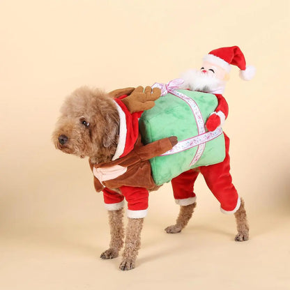 Santa Claus Pet Costume
