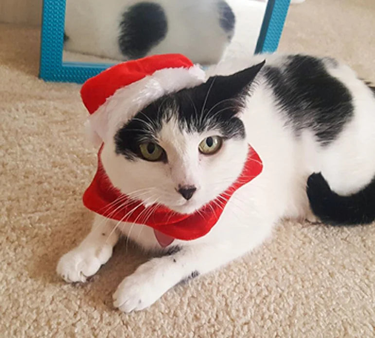 Christmas Outfit, Hat &amp; Scarf Set for Pets