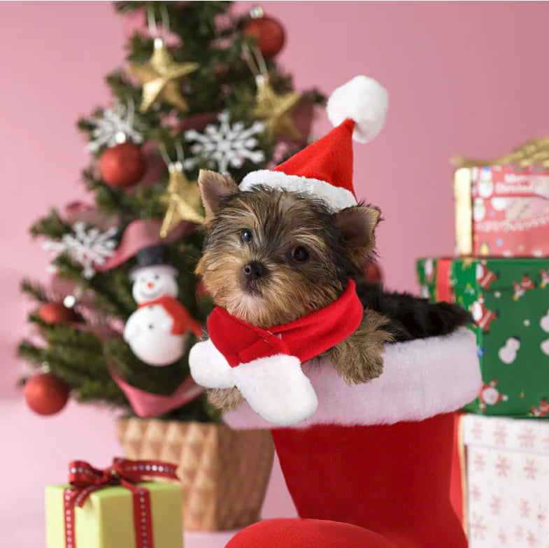 Christmas Outfit, Hat &amp; Scarf Set for Pets