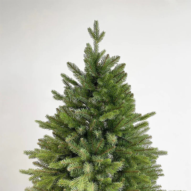 Fir Christmas Tree_