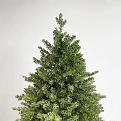 Fir Christmas Tree_