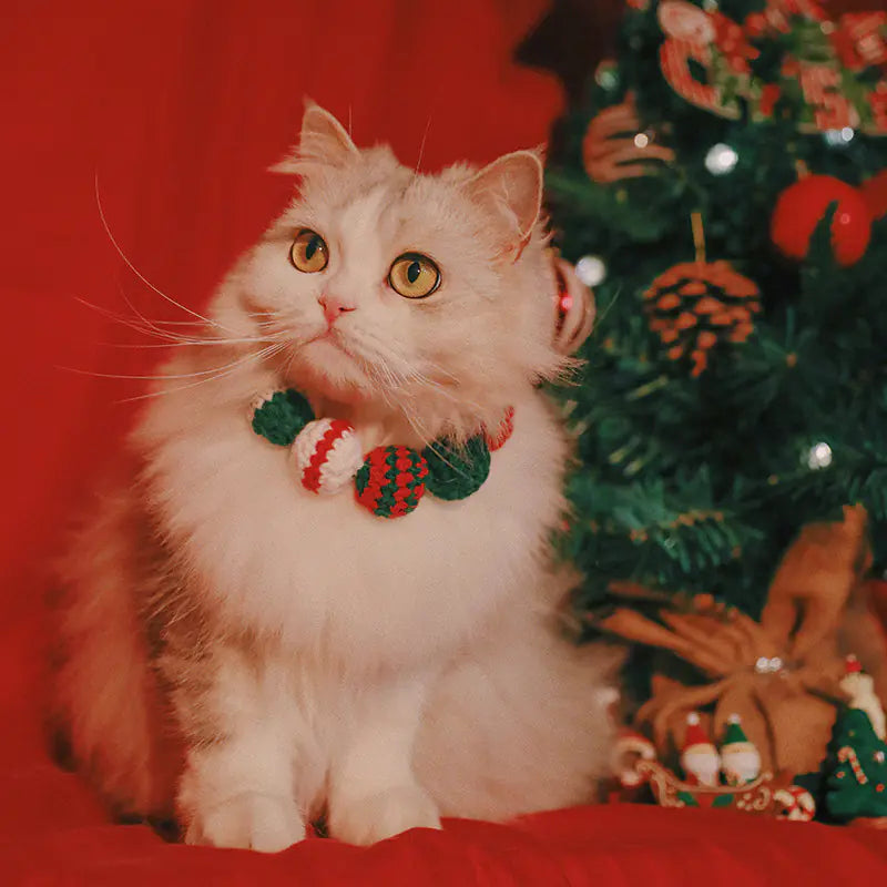 Limited Edition Pet Christmas