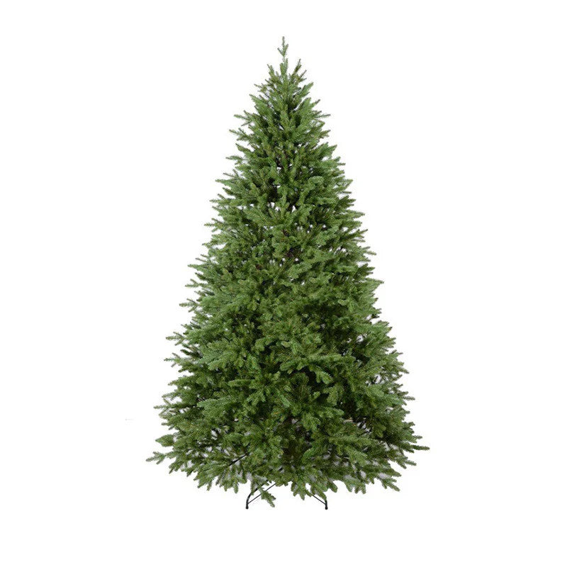 Fir Christmas Tree_